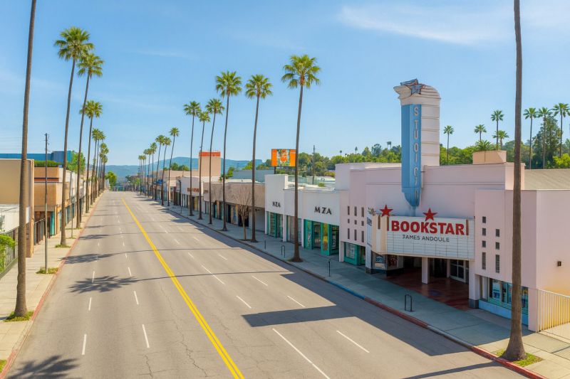 Commercial Toilet Repair in Studio City, CA